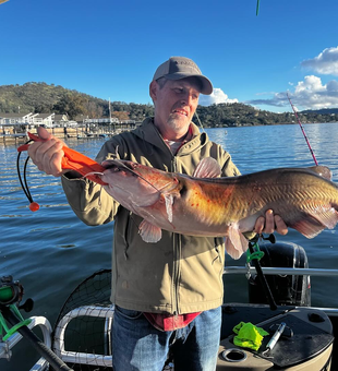 Cast, hook, and fight Clearlake catfish!